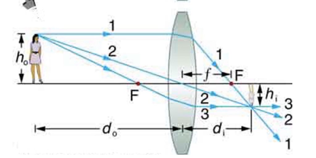 Thin Lenses - Geometrical Optics - MCAT Content