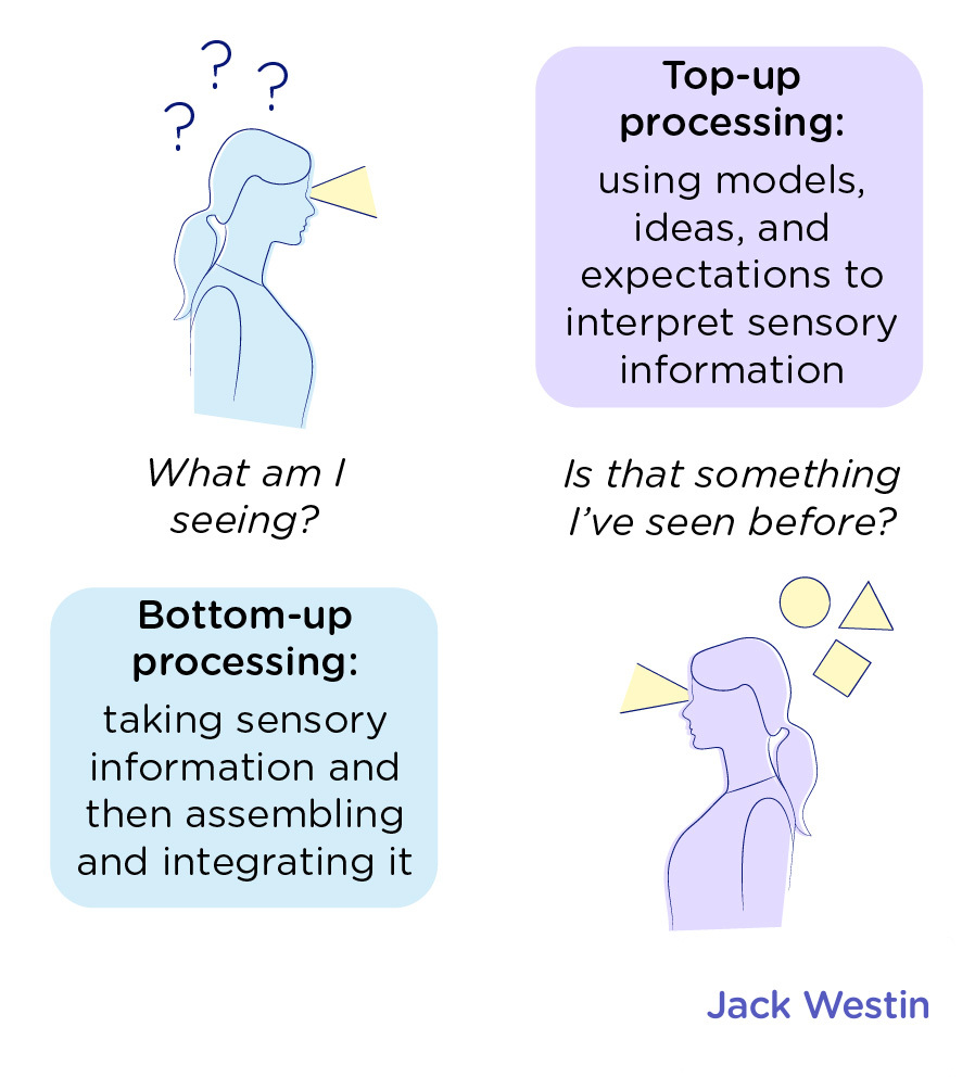 Bottom Up And Top Down Processing - Perception - MCAT Content