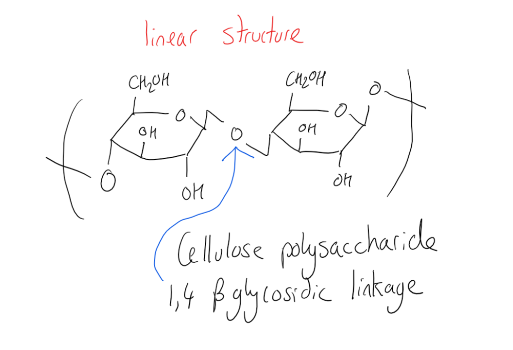 Polysaccharides 2 Carbohydrates Organic