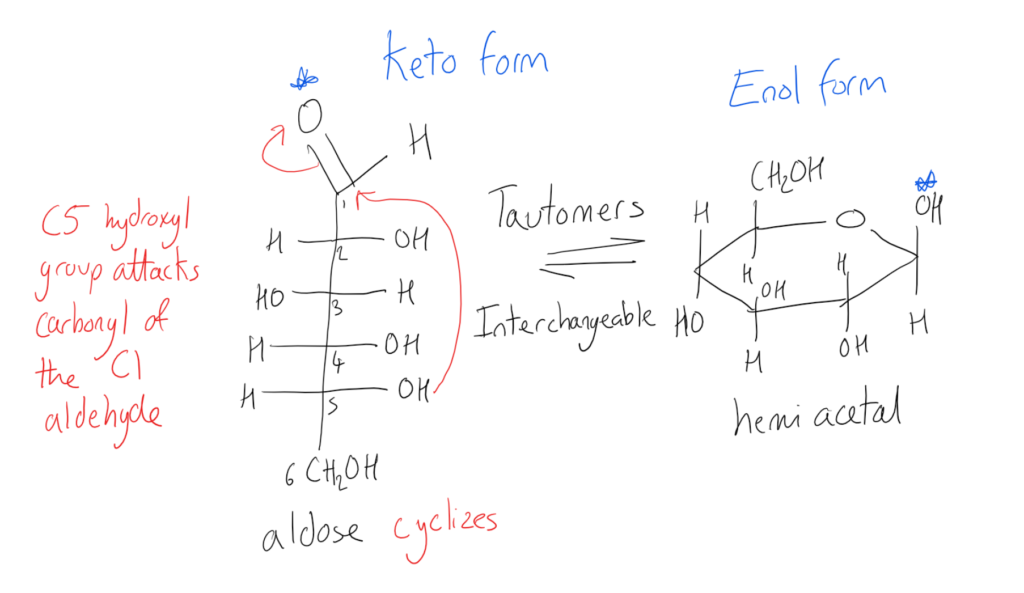Keto Enol Tautomerism Of Monosaccharides Carbohydrates Organic