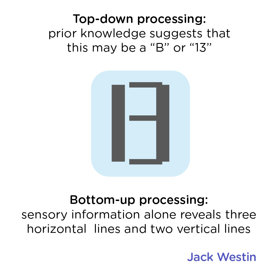 Bottom Up And Top Down Processing - Perception - MCAT Content